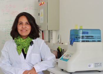 UV se adjudica proyecto que contribuirá a la prevención de incendios forestales y recuperación de suelos en la Región del Ñuble