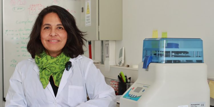 UV se adjudica proyecto que contribuirá a la prevención de incendios forestales y recuperación de suelos en la Región del Ñuble