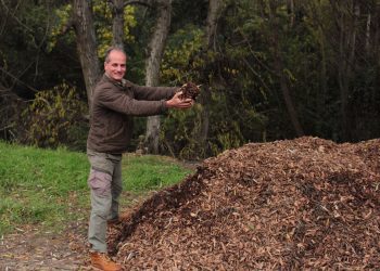 Tras daños por el incendio BASF dona 30 toneladas de chips de quillay para recuperar el suelo del Jardín Botánico de Viña del Mar