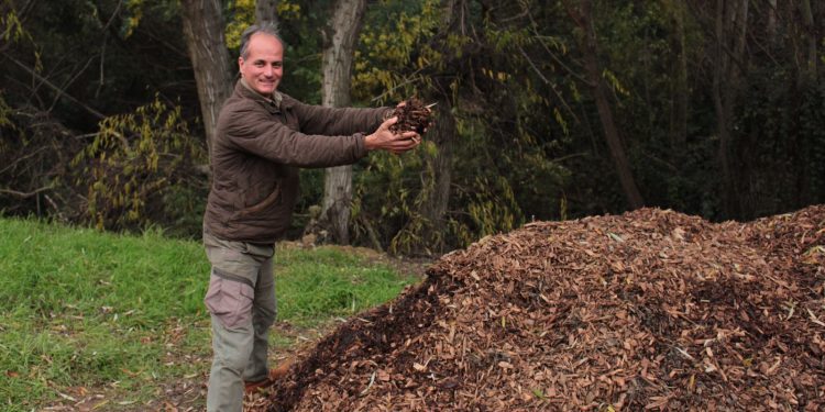 Tras daños por el incendio BASF dona 30 toneladas de chips de quillay para recuperar el suelo del Jardín Botánico de Viña del Mar