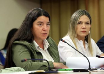 Diputadas de oposición emplazan al ministro Pardow tras revelarse una nueva deuda con la Industria Eléctrica: «La interpelación cae en el momento justo»