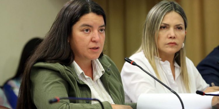 Diputadas de oposición emplazan al ministro Pardow tras revelarse una nueva deuda con la Industria Eléctrica: «La interpelación cae en el momento justo»