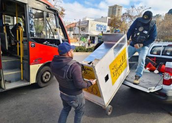Viña del Mar: Tras fiscalización, más de 20 mil productos se han confiscado