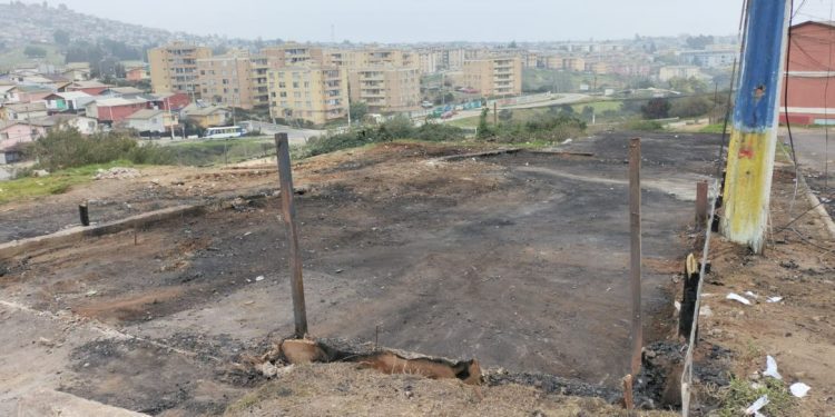 MUNICIPIO DE VIÑA DEL MAR DESPEJA ÁREA DE TOMA JUNTO A GALPÓN CONSTRUIDO DE MANERA IRREGULAR EN REÑACA ALTO