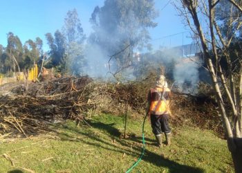  DETIENEN RIESGOSA QUEMA ILEGAL EN SECTOR ALTO DE VIÑA DEL MAR
