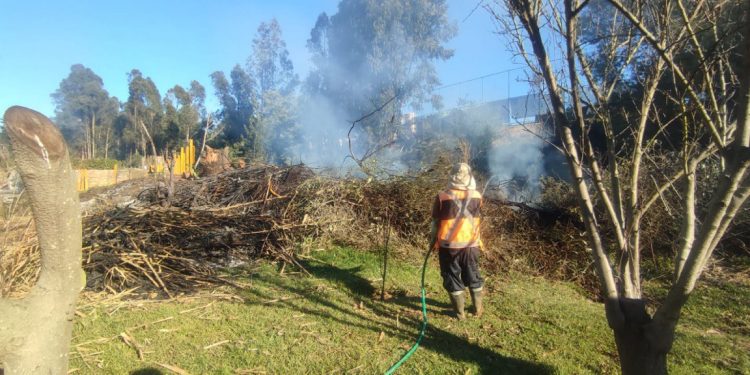 DETIENEN RIESGOSA QUEMA ILEGAL EN SECTOR ALTO DE VIÑA DEL MAR