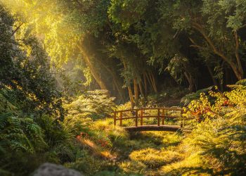 Parque Tricao ganó el Premio Travelers’ Choice 2024 de Tripadvisor