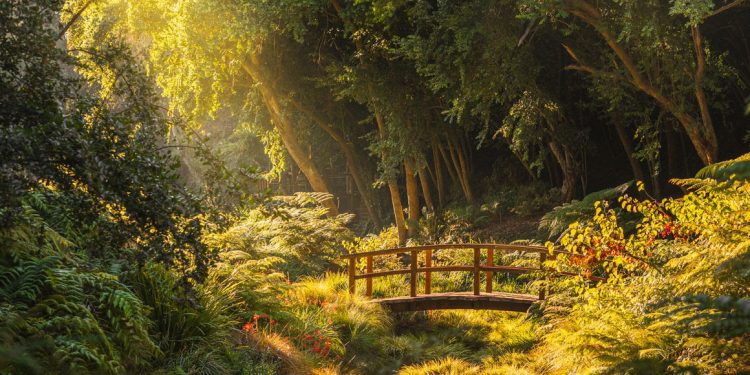 Parque Tricao ganó el Premio Travelers’ Choice 2024 de Tripadvisor