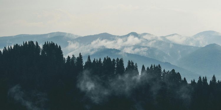 Tendencia turística: Parques nacionales, aventura y naturaleza en la mira de los chilenos