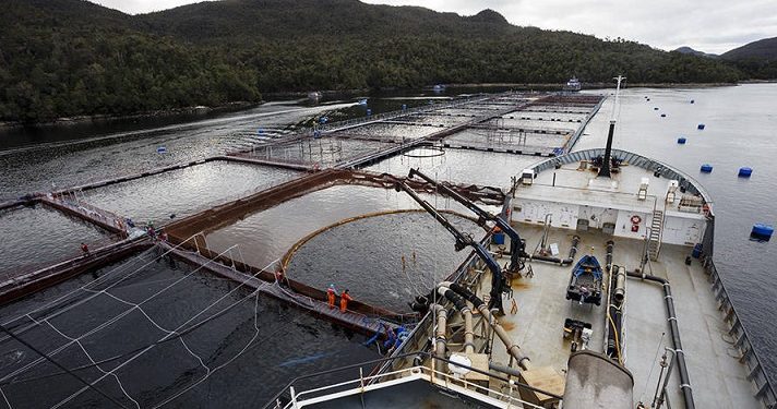 Nueva Ley General de Acuicultura:  Áreas Protegidas Sin Salmoneras llama a reordenar la industria acuícola y exige transparencia en proceso de nueva ley
