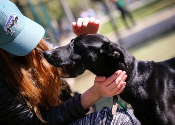 Programa de Tenencia Responsable de Animales de Compañía cumple 10 años acompañando el cuidado de las mascotas 