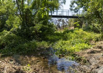 Quilpué avanza en la protección ambiental con nueva ordenanza de humedales