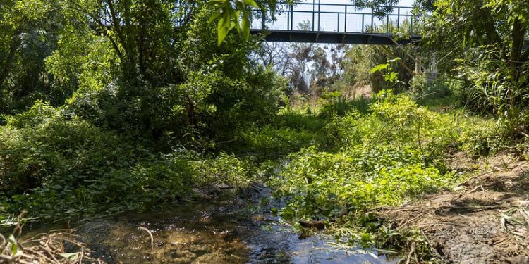 Quilpué avanza en la protección ambiental con nueva ordenanza de humedales