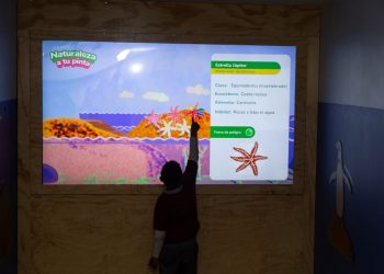 Museo Artequin Viña del Mar presenta nuevo módulo interactivo de educación ambiental