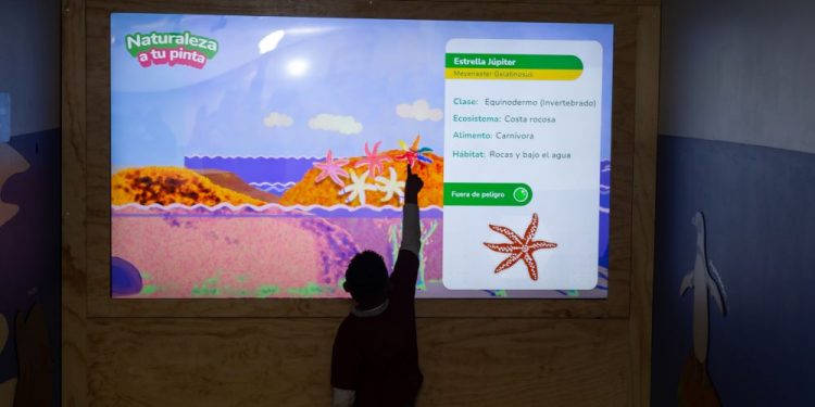 Museo Artequin Viña del Mar presenta nuevo módulo interactivo de educación ambiental