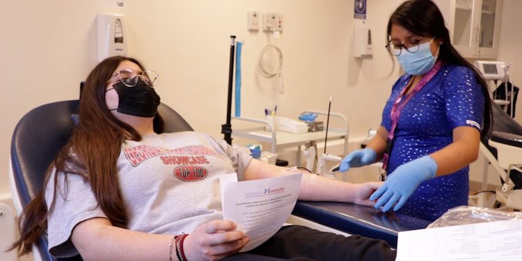 Hospital Dr. Gustavo Fricke inicia campaña de donación de sangre