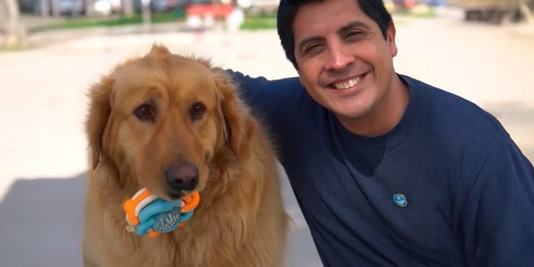 ONG Animalistas se suman a la propuesta de protección animal de Christian Cárdenas para Quilpué