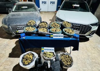 PDI desbarata banda dedicada al tráfico de drogas en los vilos