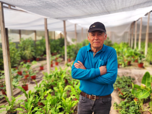 Un sueño hecho vivero: El éxito del Jardín Santa Elizabeth en La Cruz