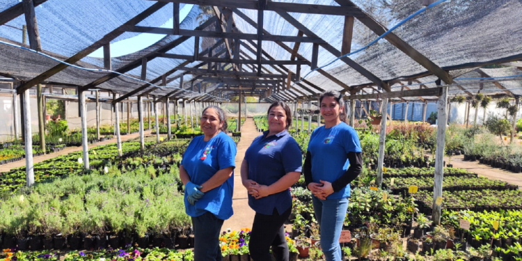 Donde las plantas florecen en familia: la historia del Vivero Carmen Gloria