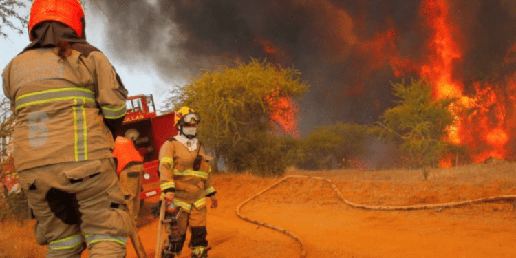Con tecnología chilena: bomberos de Viña del Mar se modernizan para combatir incendios del verano