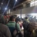 Huelga de trabajadores de TurBus genera caos en terminal de Viña del Mar