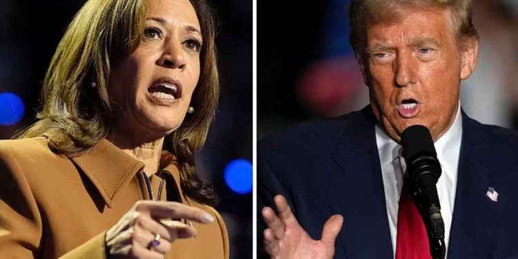 Donald Trump declara su triunfo en las elecciones de EE.UU.: «Es una victoria política que nuestro país nunca ha visto antes»