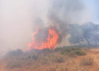 Contenido se encuentra incendio de Laguna Verde que destruyó una casa y obligó la evacuación de 20 personas