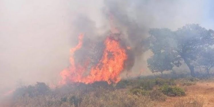 Contenido se encuentra incendio de Laguna Verde que destruyó una casa y obligó la evacuación de 20 personas