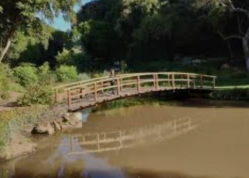 Distinguen como Empresa Externa Destacada 2024 a Parque Tricao