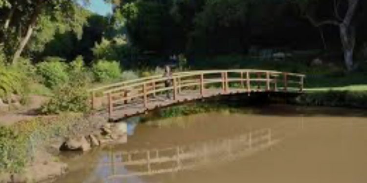 Distinguen como Empresa Externa Destacada 2024 a Parque Tricao