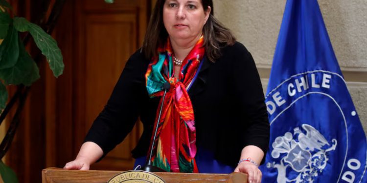 Senadora Vodanovic ante renuncia de diputado Naranjo al PS: “No me preocupa”