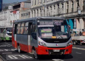 117 buses gratuitos circularán en la Región de Valparaíso por las elecciones