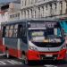 117 buses gratuitos circularán en la Región de Valparaíso por las elecciones
