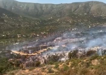 Cerca de 100 hectáreas consumidas deja incendio forestal en Hijuelas