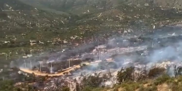 Cerca de 100 hectáreas consumidas deja incendio forestal en Hijuelas