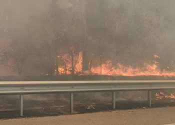Dan orden de evacuar dos sectores de Quilpué por incendio forestal