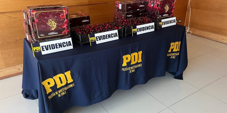 PDI detiene a dos personas tras indagatorias por millonario robo de frutas de exportación en San Antonio