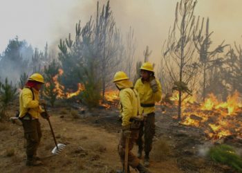 Informan cuatro nuevos detenidos por megaincendio de febrero en Viña del Mar y Quilpué