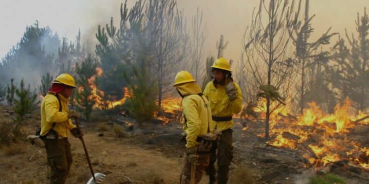 Informan cuatro nuevos detenidos por megaincendio de febrero en Viña del Mar y Quilpué