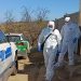 Investigan homicidio de hombre de 73 años que estaba al cuidado de vecinos de toma de Viña del Mar