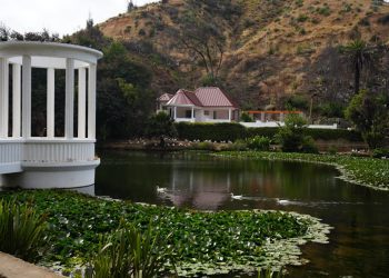 Jardín Botánico vuelve a recuperar su punto de cafeteria, sistema de riego y canopy tras megaincendio