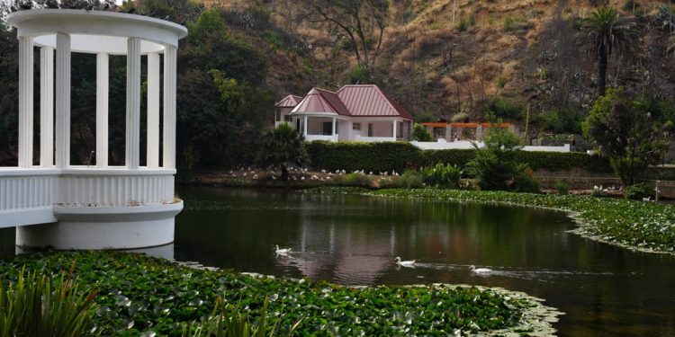 Jardín Botánico vuelve a recuperar su punto de cafeteria, sistema de riego y canopy tras megaincendio