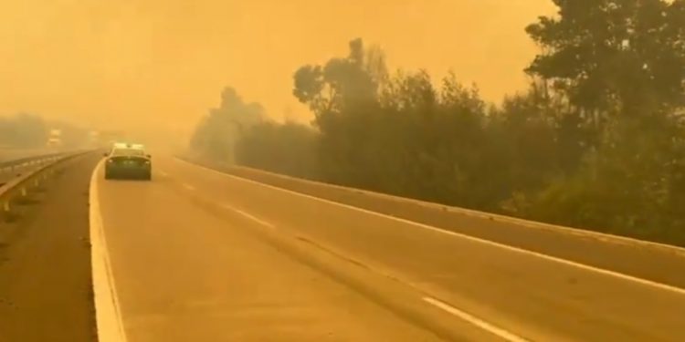 Incendio forestal en Casablanca obligó a cortar tránsito en la Ruta 68
