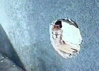 Investigan la fuga de 17 presos de recinto penal de Argentina y donde seis son chilenos