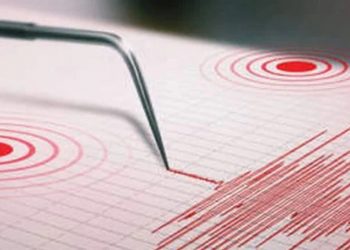 Dos temblores de media intensidad se percibieron en la Región de Valparaíso