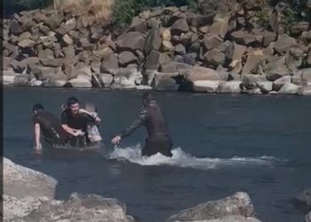 Carabineros de Temuco rescatan a niña de 12 años que era arrastrada por la corriente en río Cautín