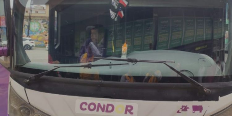 Detienen a conductor de empresa Cóndor Bus con licencia falsificada en Valparaíso