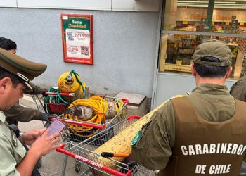 Alcaldesa de Valparaíso afirma que balsas con pirotecnia «no están en riesgo» pese a marejadas