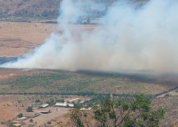 Decretan Alerta Roja y piden evacuar sectores en La Ligua por incendio forestal que ya consumido al menos 3 hectáreas
